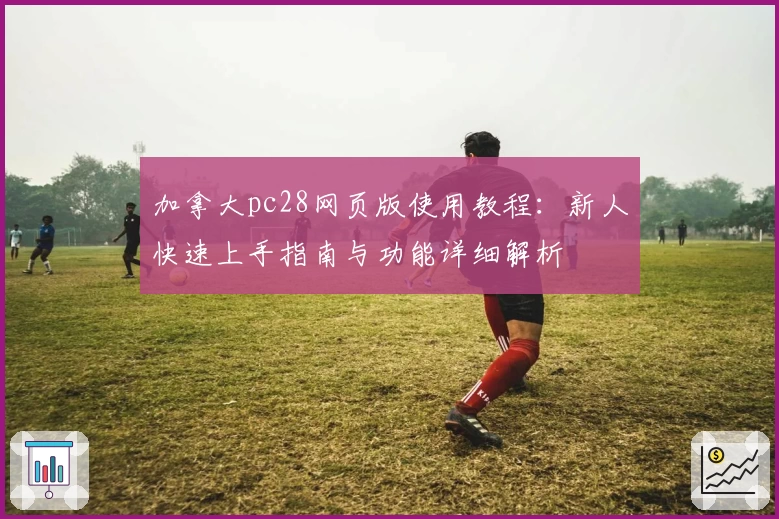 加拿大pc28网页版使用教程：新人快速上手指南与功能详细解析