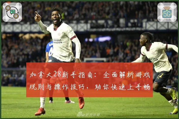 加拿大28新手指南：全面解析游戏规则与操作技巧，助你快速上手畅享经典体验