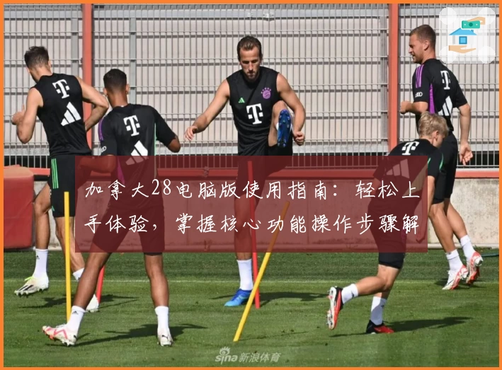 加拿大28电脑版使用指南：轻松上手体验，掌握核心功能操作步骤解析