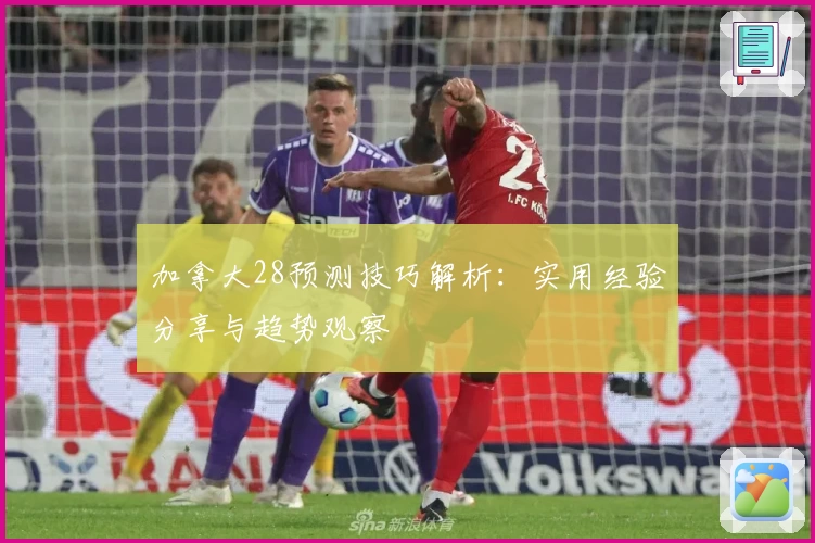 加拿大28预测技巧解析：实用经验分享与趋势观察