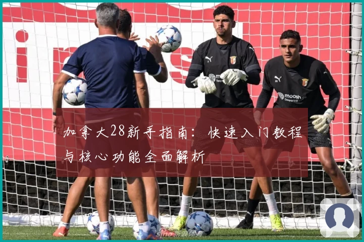 加拿大28新手指南：快速入门教程与核心功能全面解析