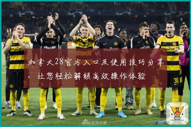 加拿大28官方入口及使用技巧分享，让您轻松解锁高效操作体验