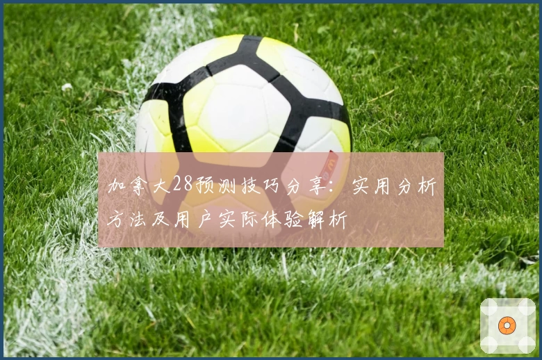 加拿大28预测技巧分享：实用分析方法及用户实际体验解析