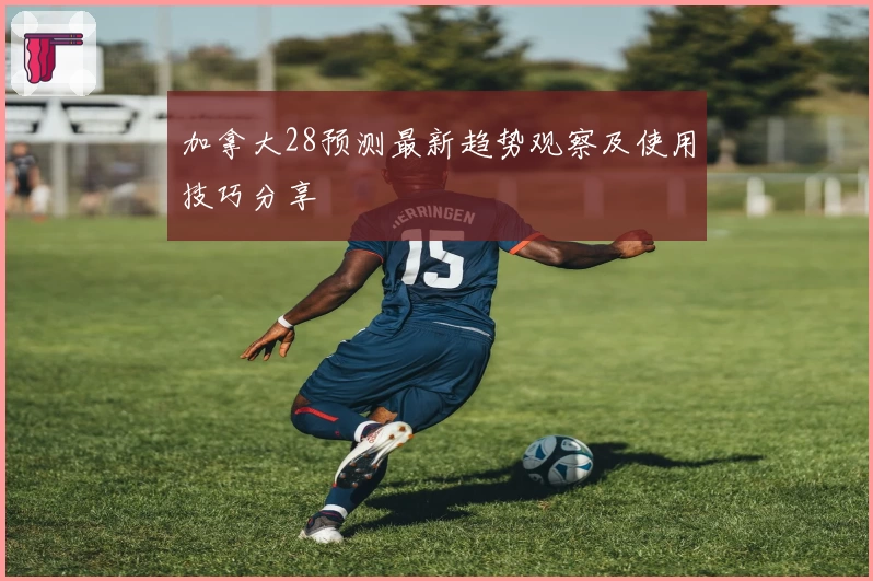 加拿大28预测最新趋势观察及使用技巧分享