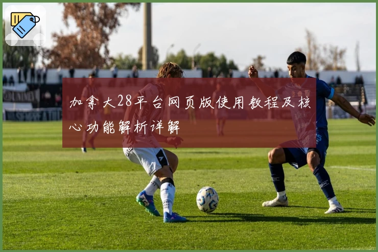 加拿大28平台网页版使用教程及核心功能解析详解