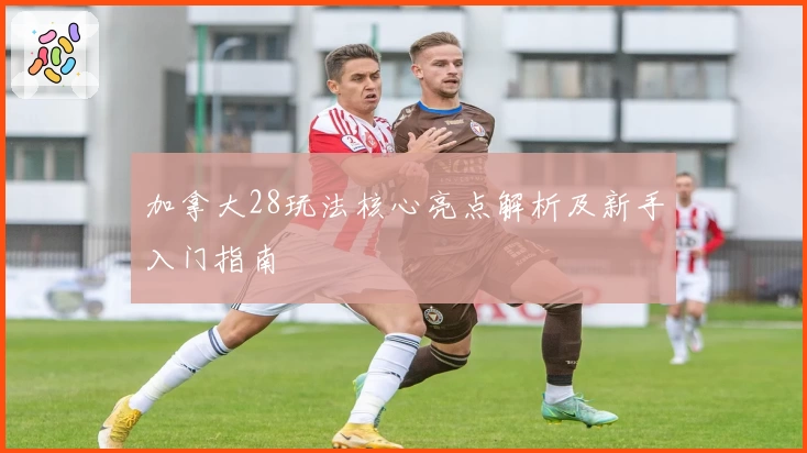 加拿大28玩法核心亮点解析及新手入门指南