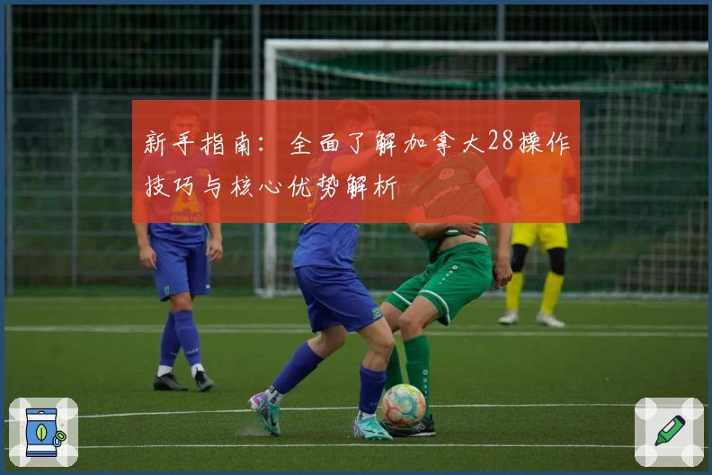 新手指南：全面了解加拿大28操作技巧与核心优势解析