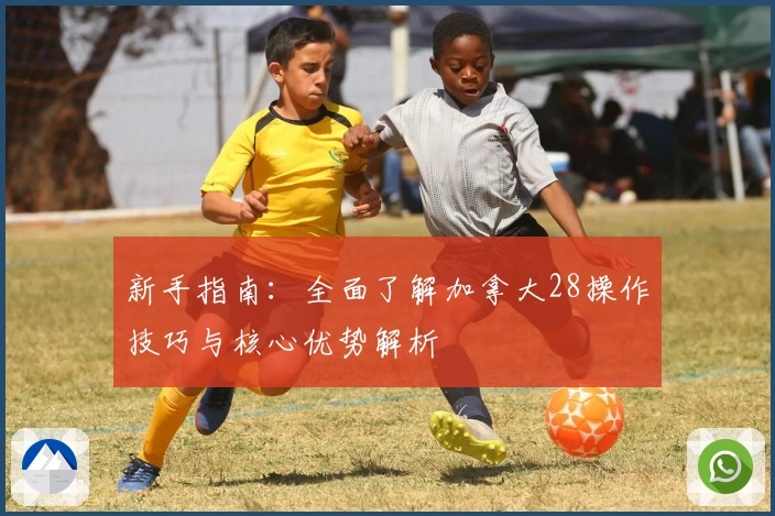 新手指南：全面了解加拿大28操作技巧与核心优势解析