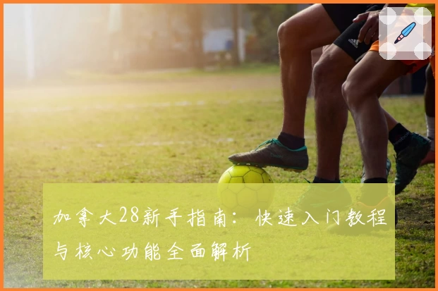 加拿大28新手指南：快速入门教程与核心功能全面解析