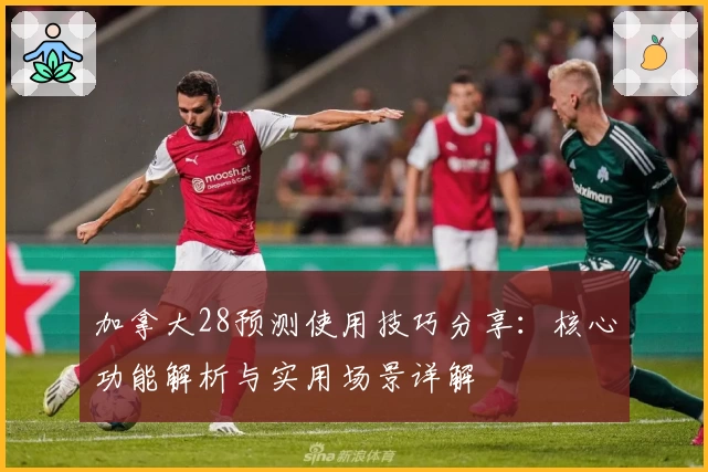 加拿大28预测使用技巧分享：核心功能解析与实用场景详解