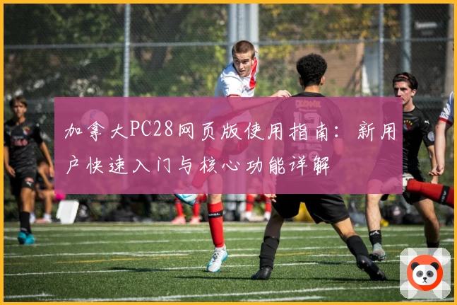 加拿大PC28网页版使用指南：新用户快速入门与核心功能详解